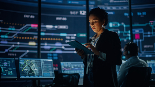 IT Security Specialist 