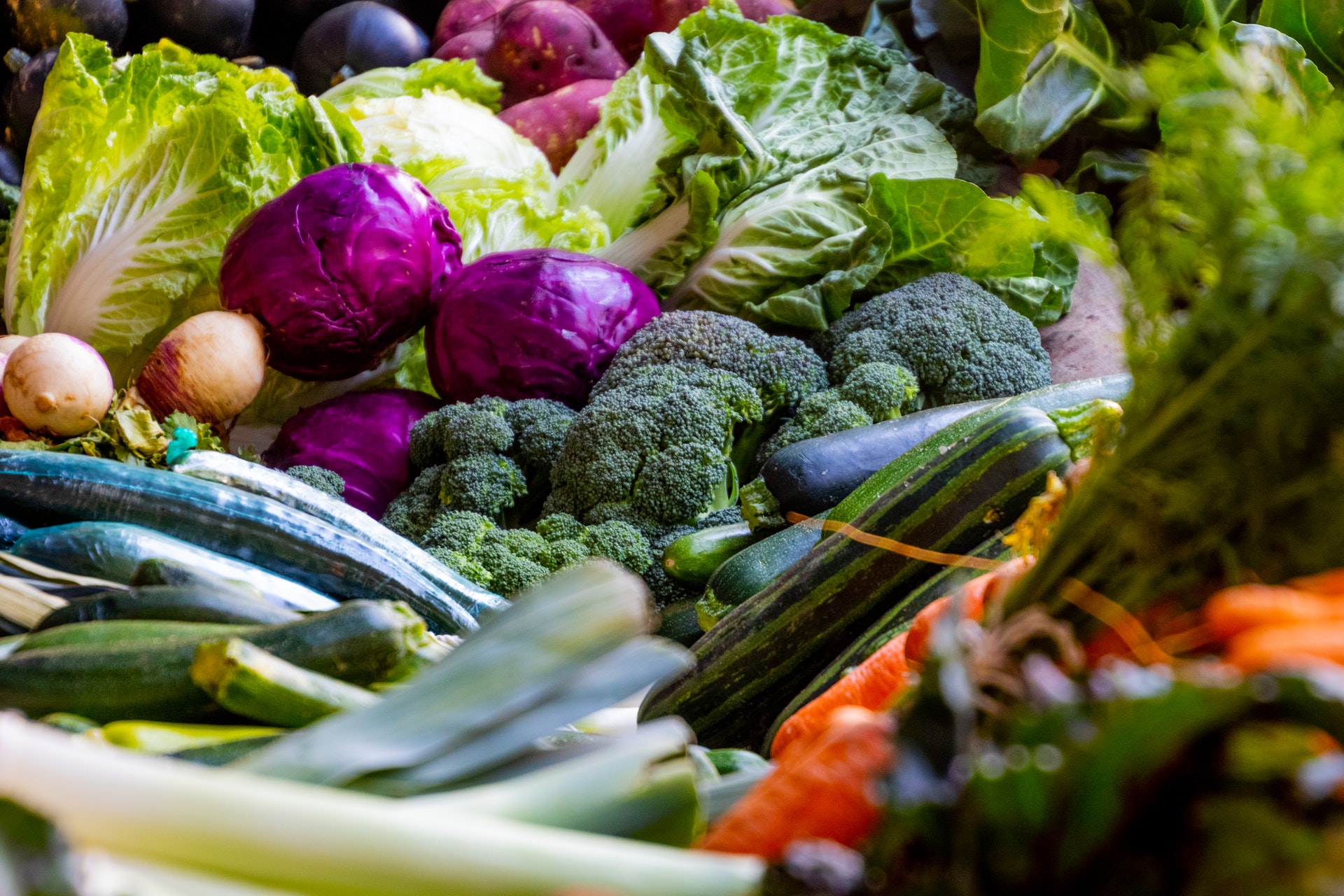 10 Most Affordable Nutritional Science Bachelor's Degree Programs