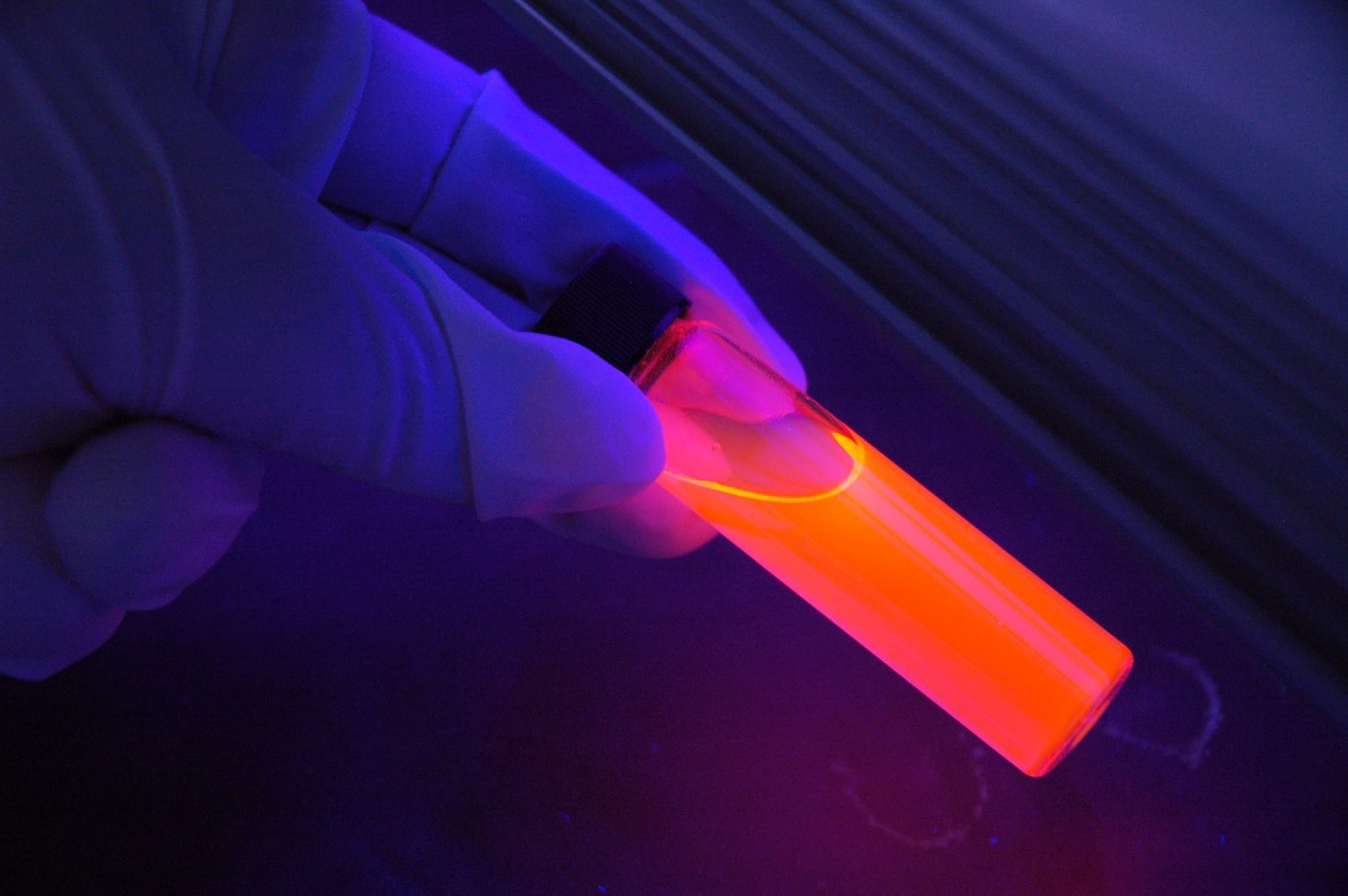 10 Fastest Online Forensic Science Degree Bachelor's Programs