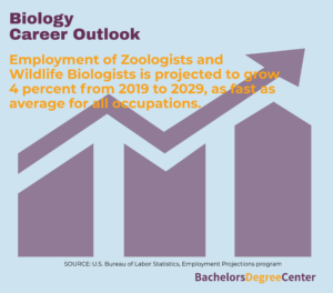 What Can I Do with a Bachelor's in Biology? - Bachelors Degree Center