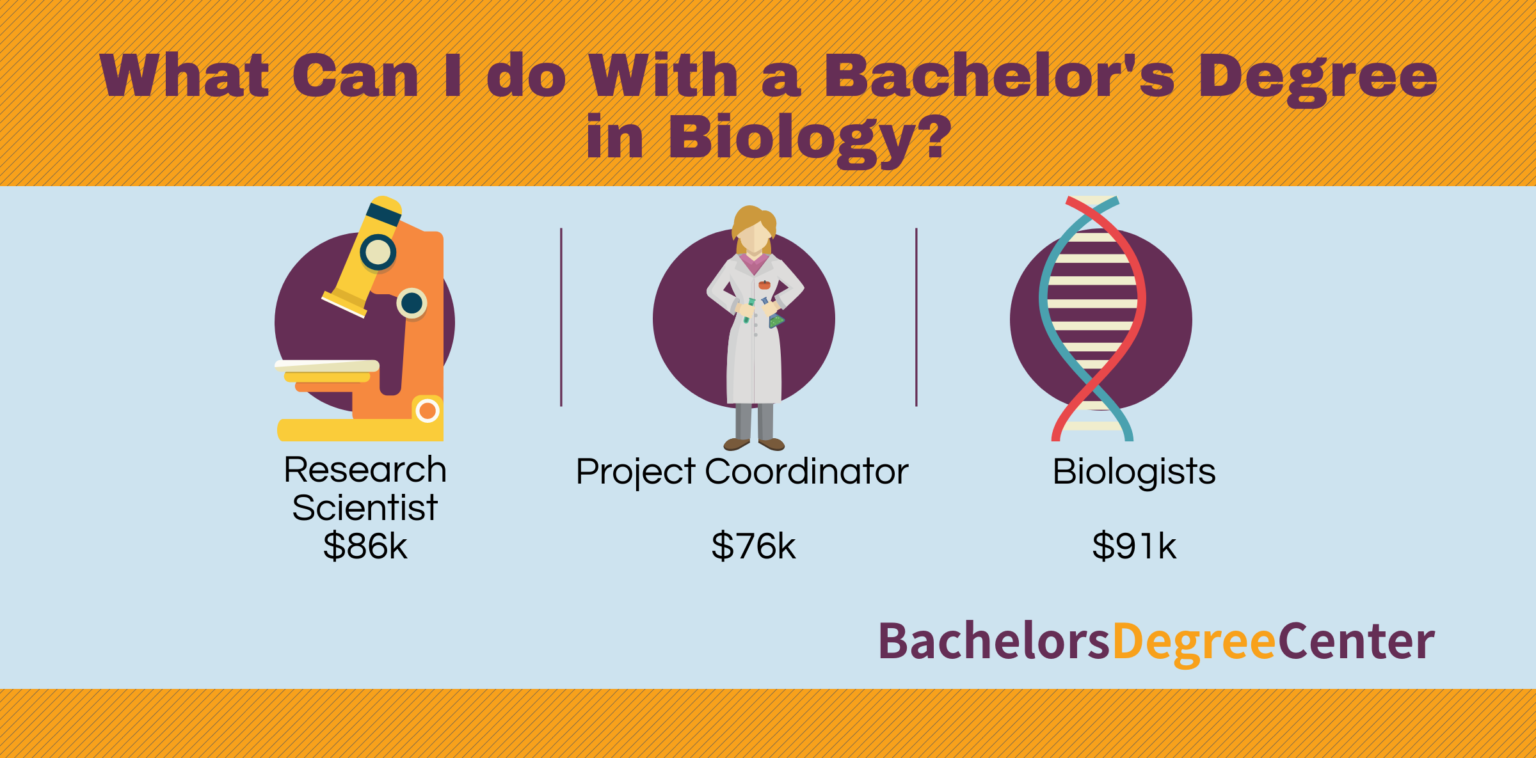 Bachelor of biology job opportunities