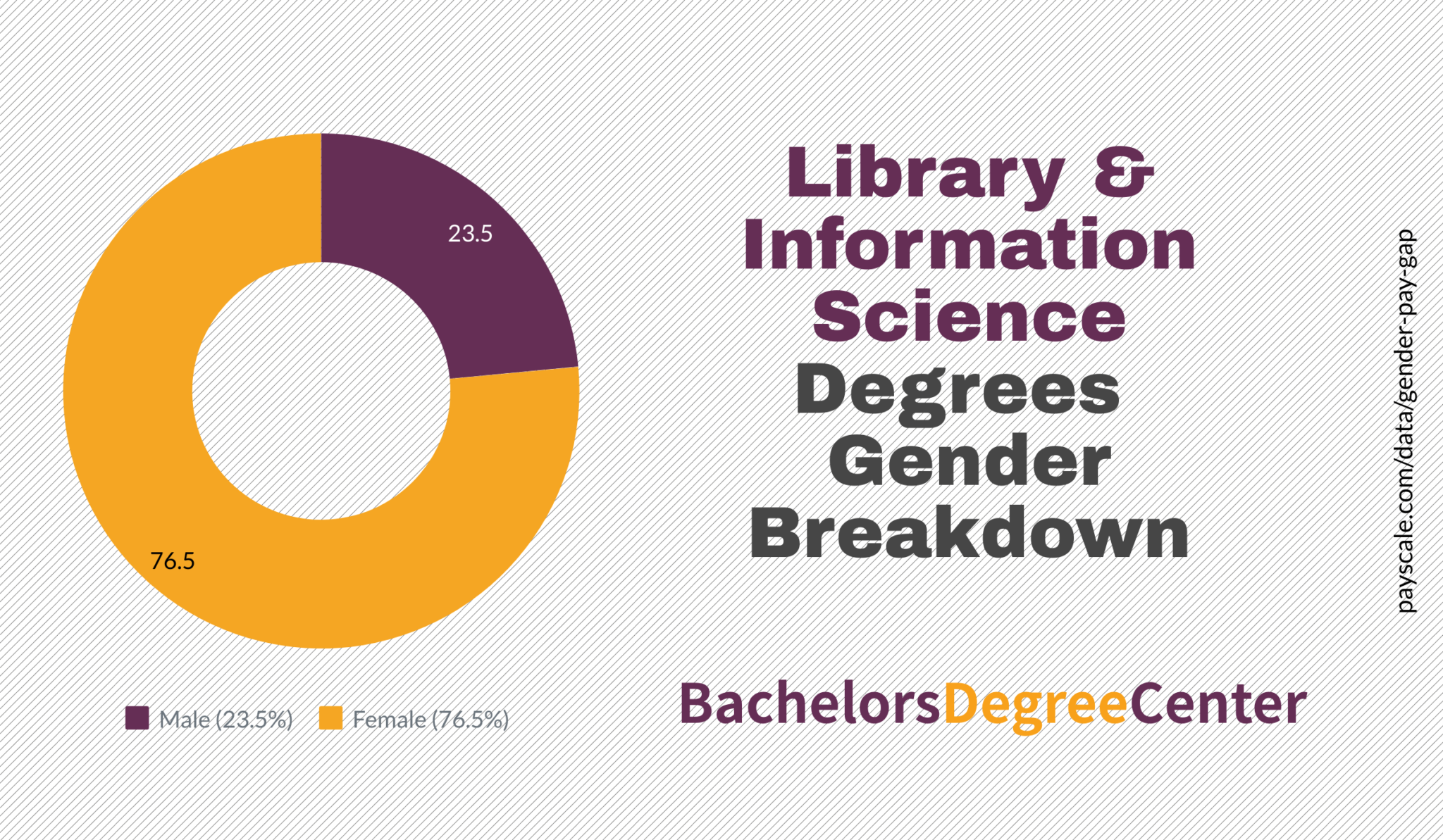 What Can I Do with Bachelor's in Library and Information Science