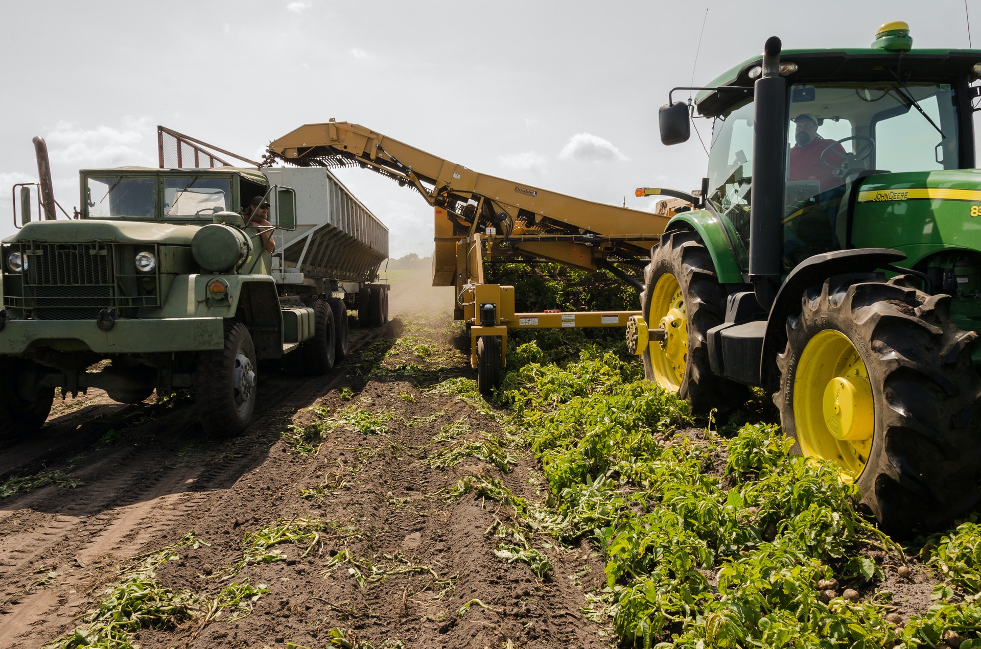 10 Fastest Online Bachelor's in Agriculture and Agribusiness for 2021