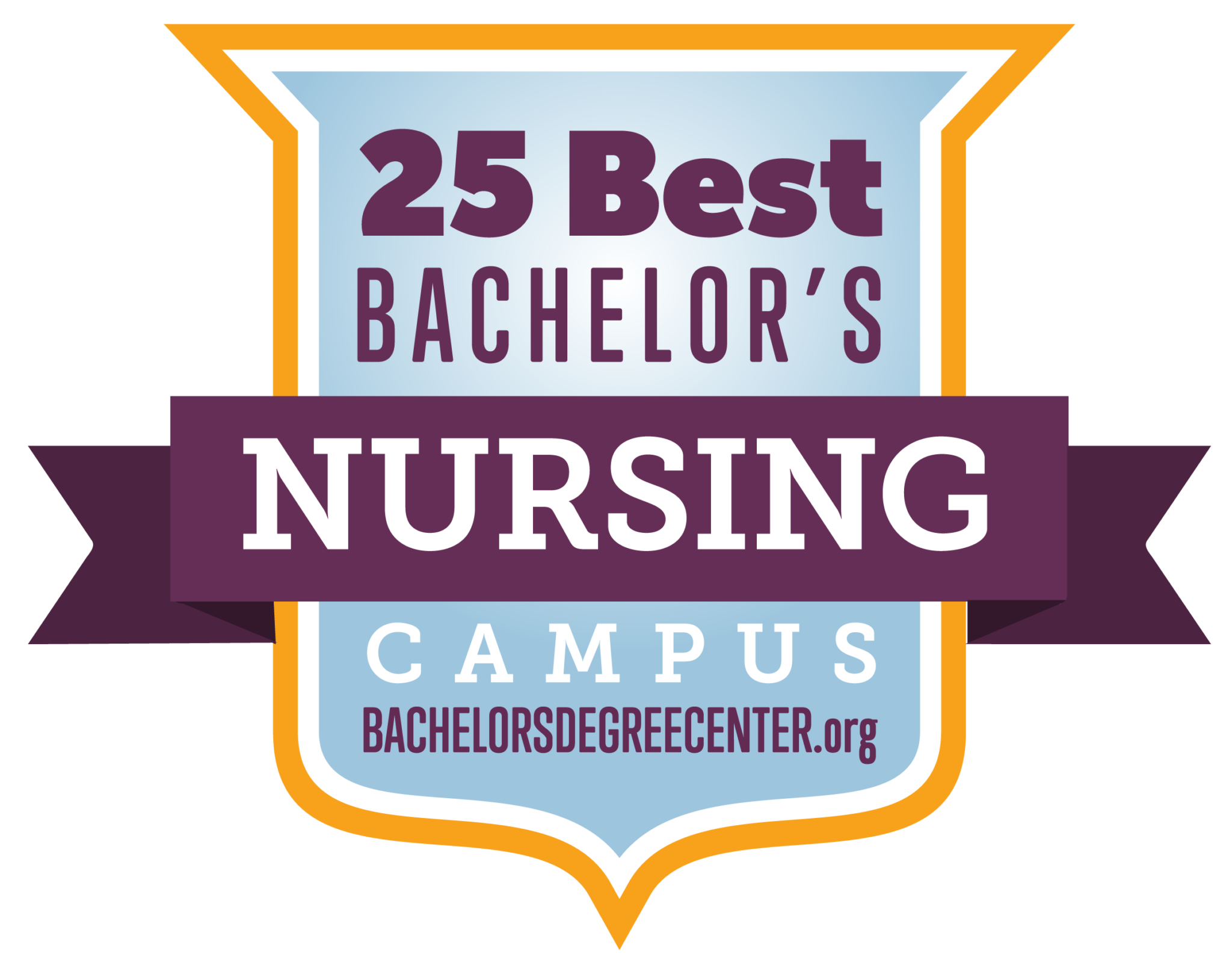 25 Best Bachelor's in Nursing