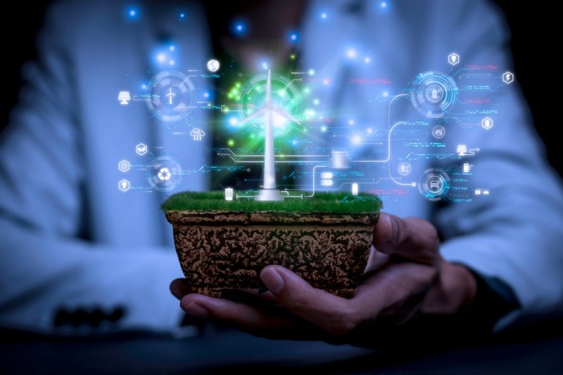 environmental science degree